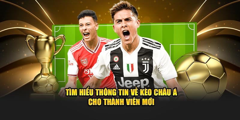 Đôi nét giới thiệu về loại hình cược châu Á cho người mới